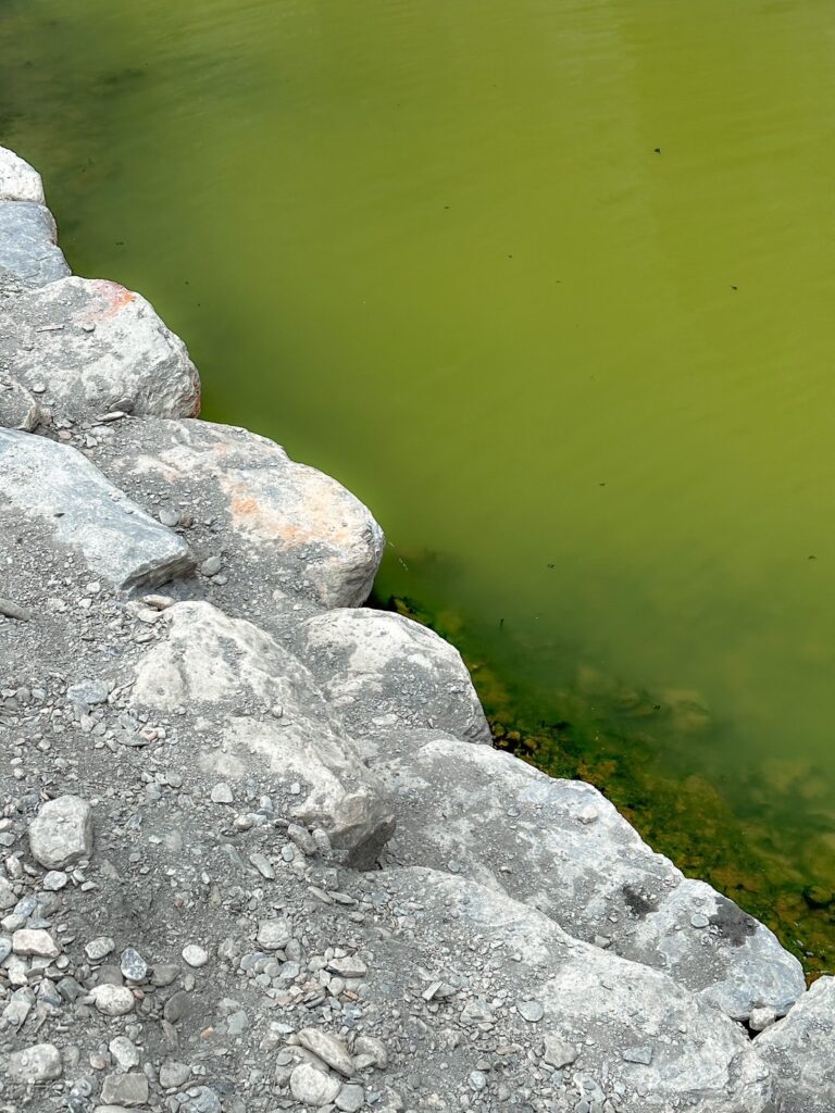 哈尤溪溫泉的「黃金野溪溫泉」含有豐富的鐵質，呈現黃綠色